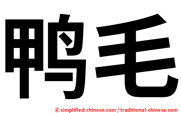 鸭毛