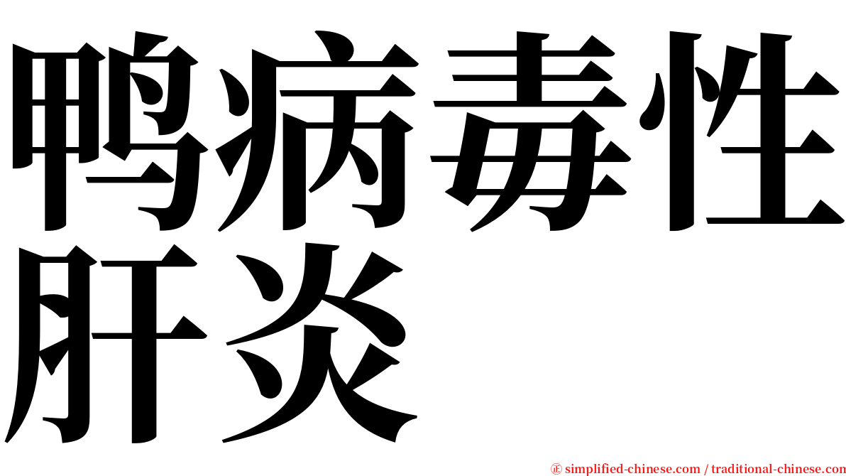 鸭病毒性肝炎 serif font