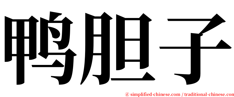 鸭胆子 serif font