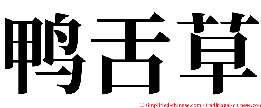 鸭舌草 serif font