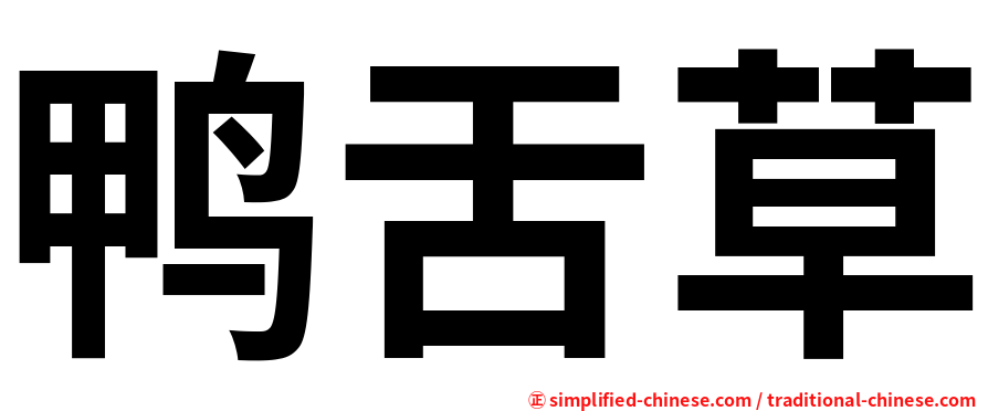 鸭舌草