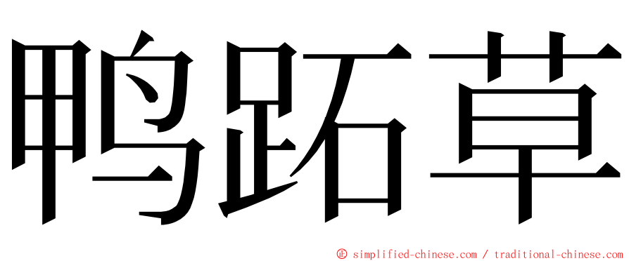 鸭跖草 ming font