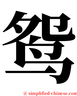 鸳 serif font
