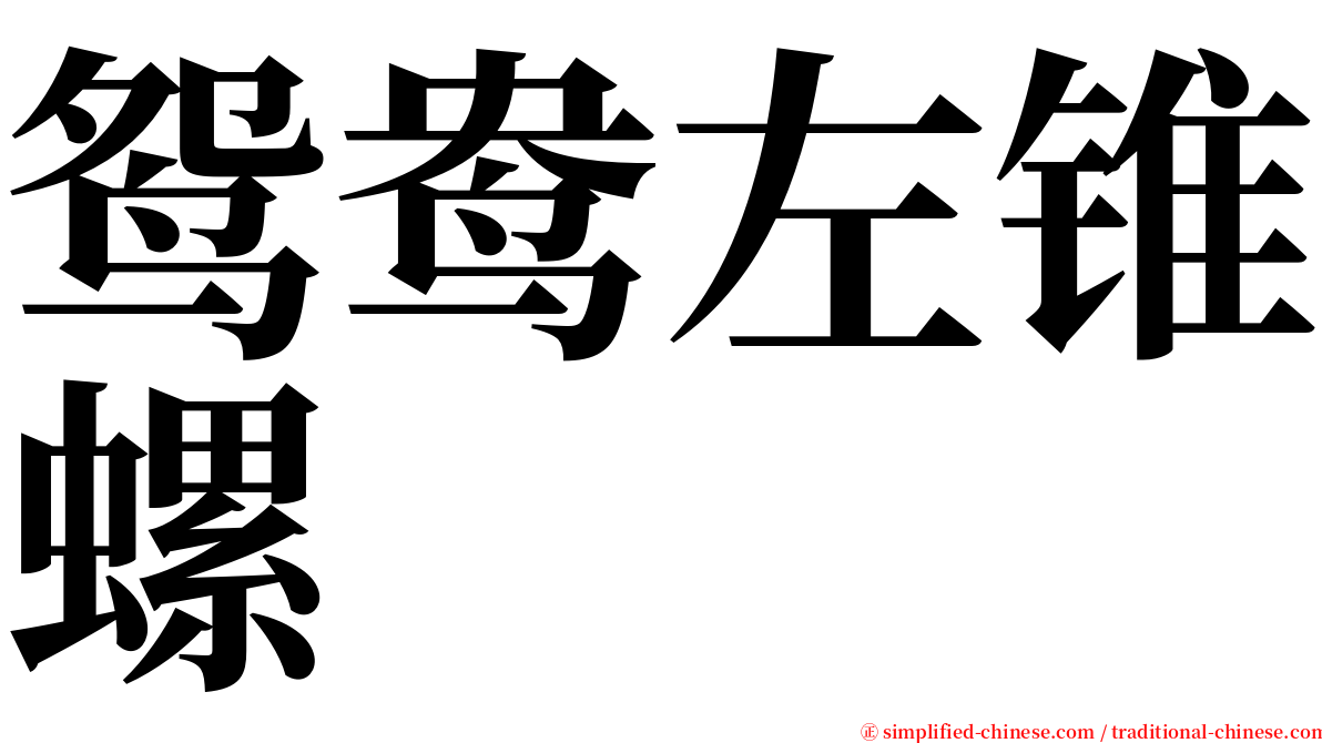 鸳鸯左锥螺 serif font