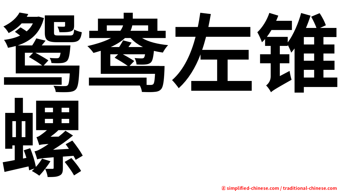 鸳鸯左锥螺
