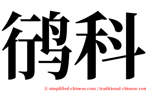 鸻科 serif font