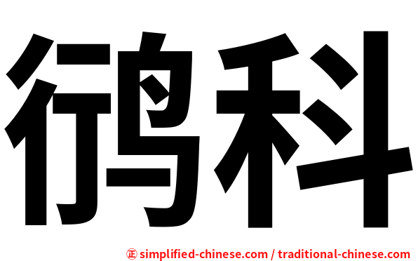 鸻科
