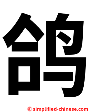 鸽