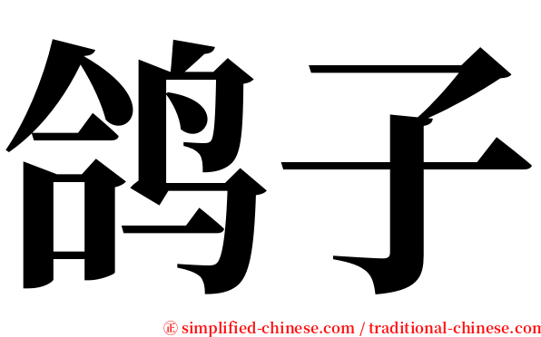 鸽子 serif font