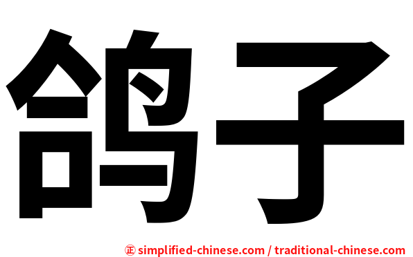 鸽子