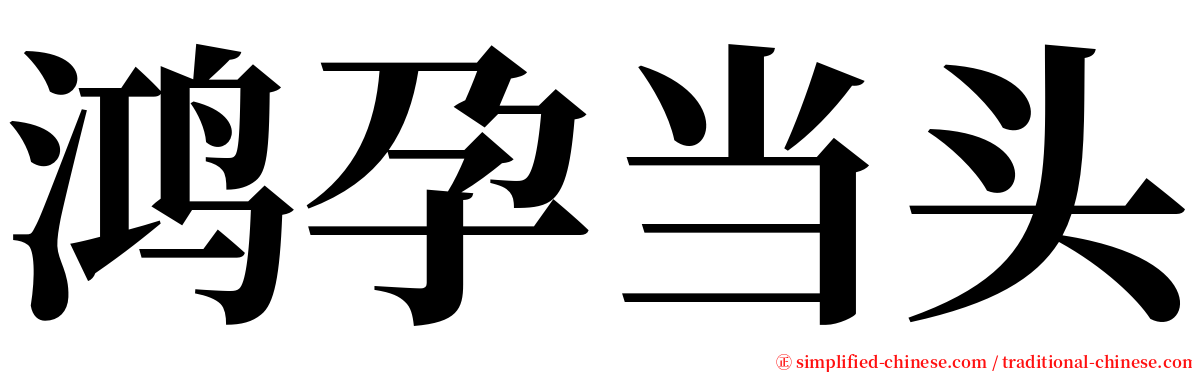 鸿孕当头 serif font