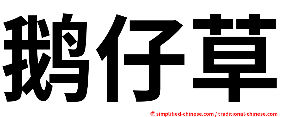 鹅仔草