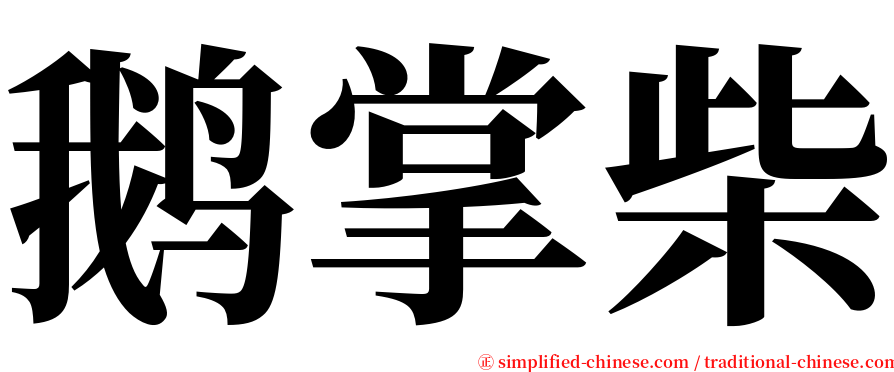 鹅掌柴 serif font