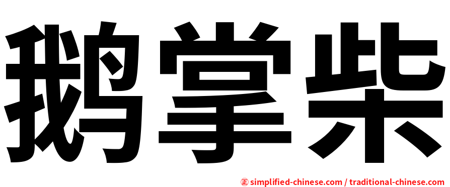 鹅掌柴