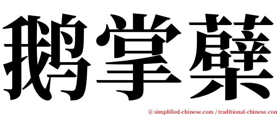 鹅掌蘗 serif font