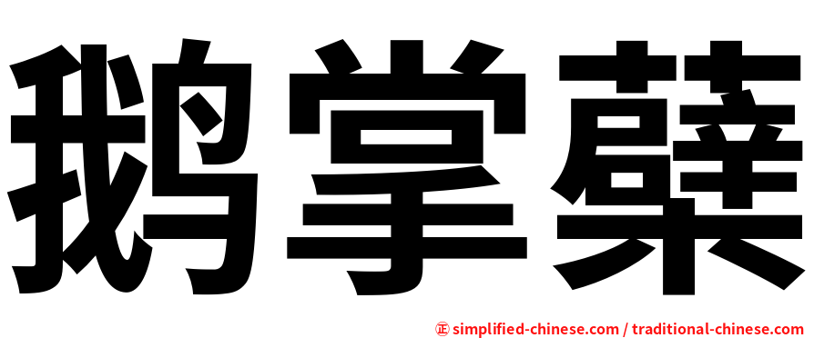 鹅掌蘗