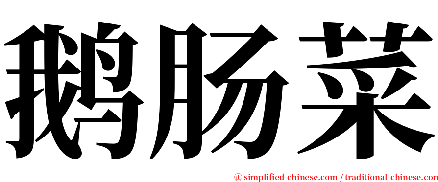 鹅肠菜 serif font