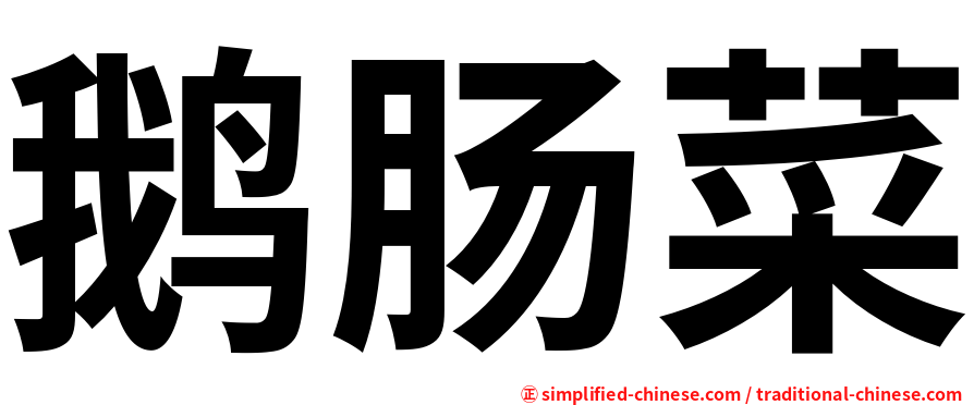 鹅肠菜