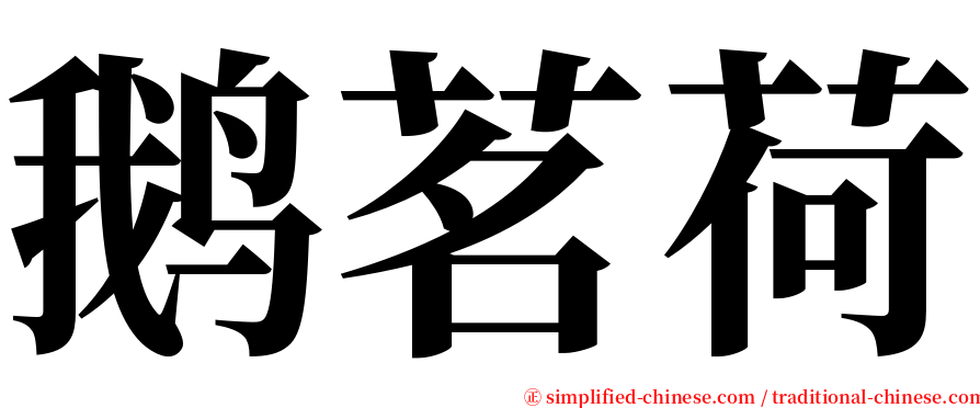鹅茗荷 serif font