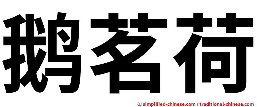 鹅茗荷