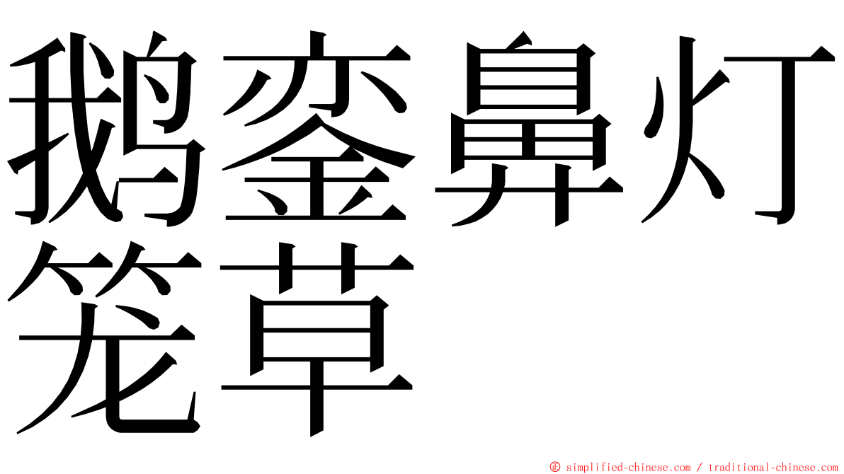 鹅銮鼻灯笼草 ming font