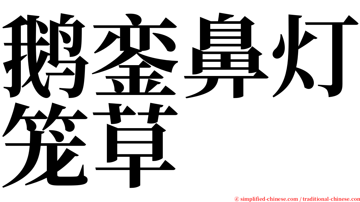 鹅銮鼻灯笼草 serif font
