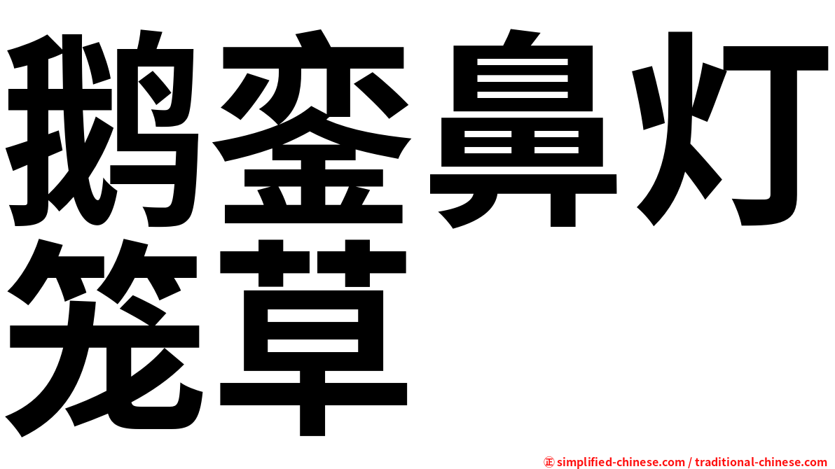 鹅銮鼻灯笼草