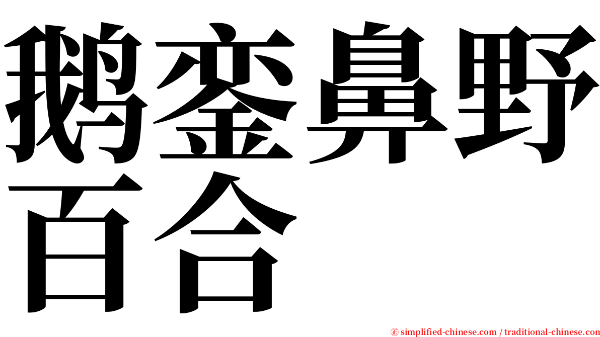 鹅銮鼻野百合 serif font