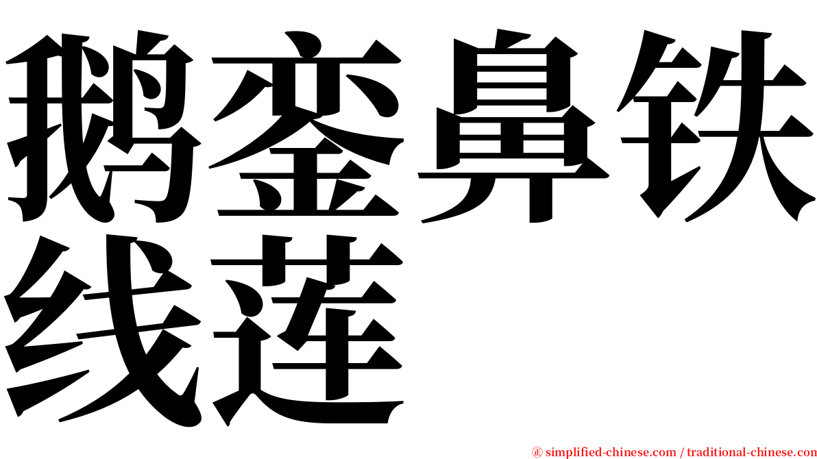 鹅銮鼻铁线莲 serif font