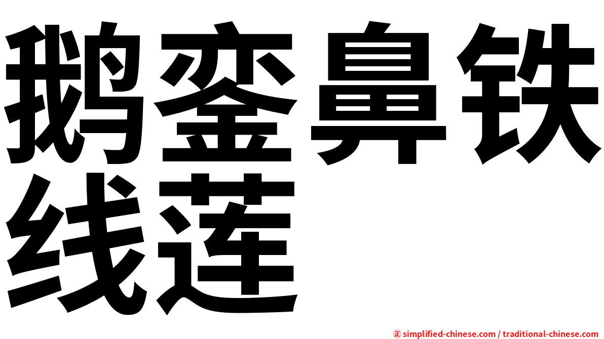 鹅銮鼻铁线莲
