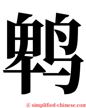 鹎 serif font