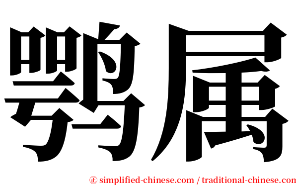 鹗属 serif font