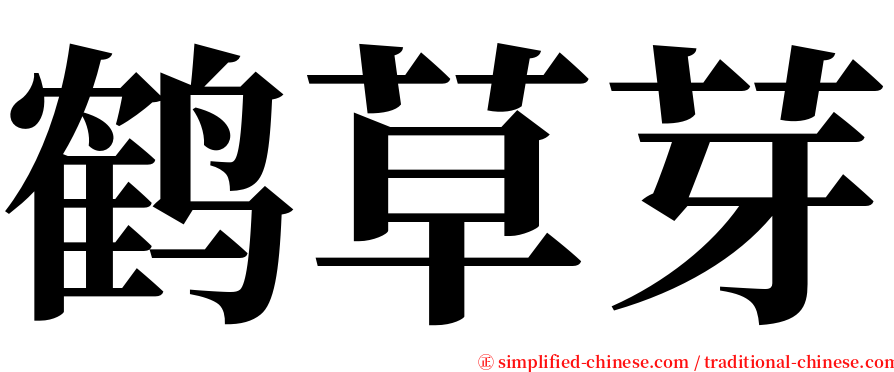鹤草芽 serif font