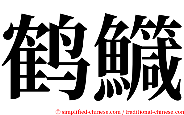 鹤鱵 serif font