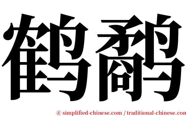 鹤鹬 serif font