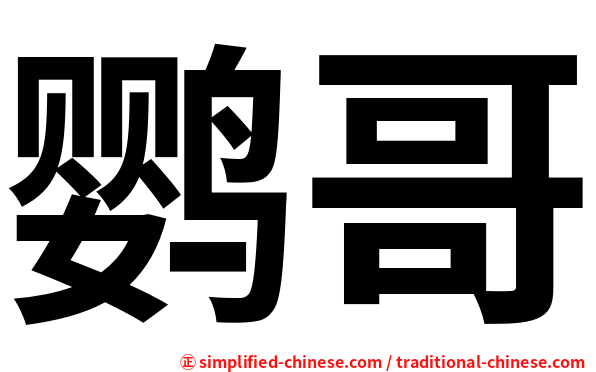 鹦哥