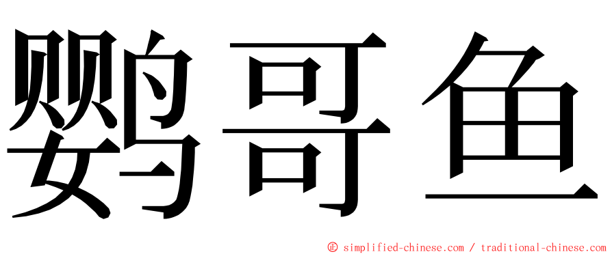 鹦哥鱼 ming font