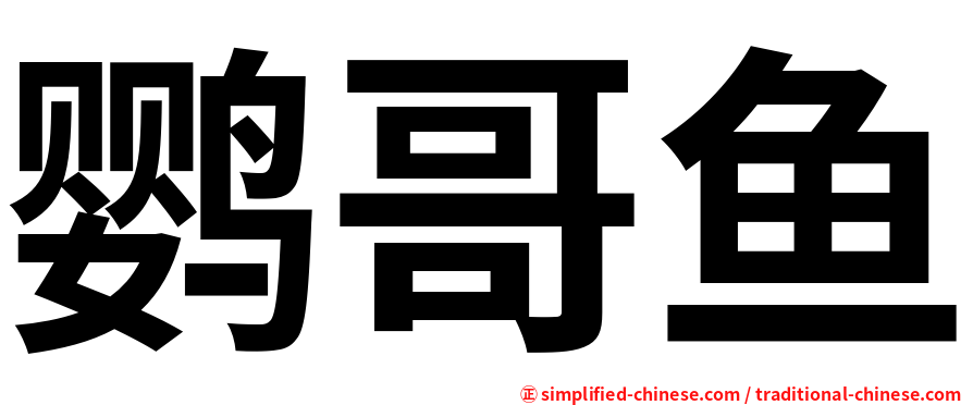 鹦哥鱼