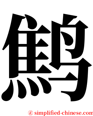鹪 serif font