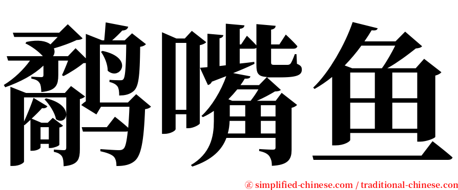 鹬嘴鱼 serif font