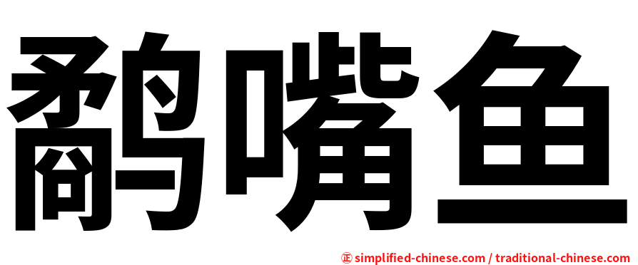 鹬嘴鱼