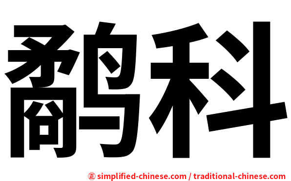 鹬科