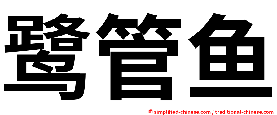 鹭管鱼