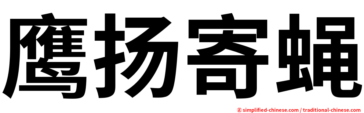鹰扬寄蝇