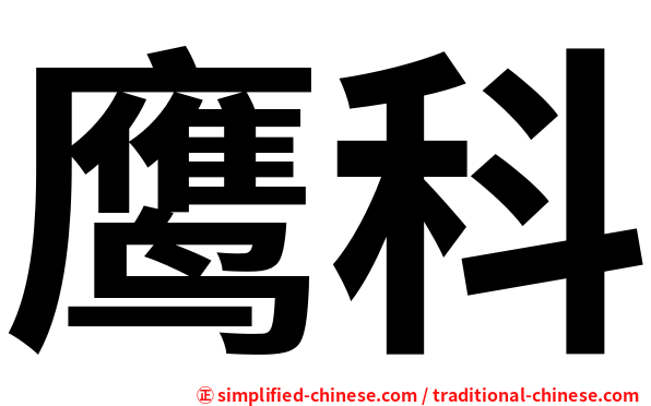 鹰科