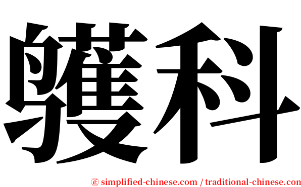 鹱科 serif font