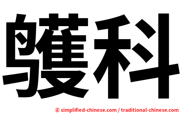 鹱科