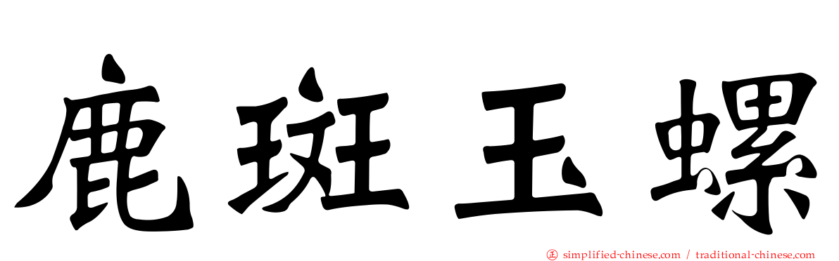 鹿斑玉螺