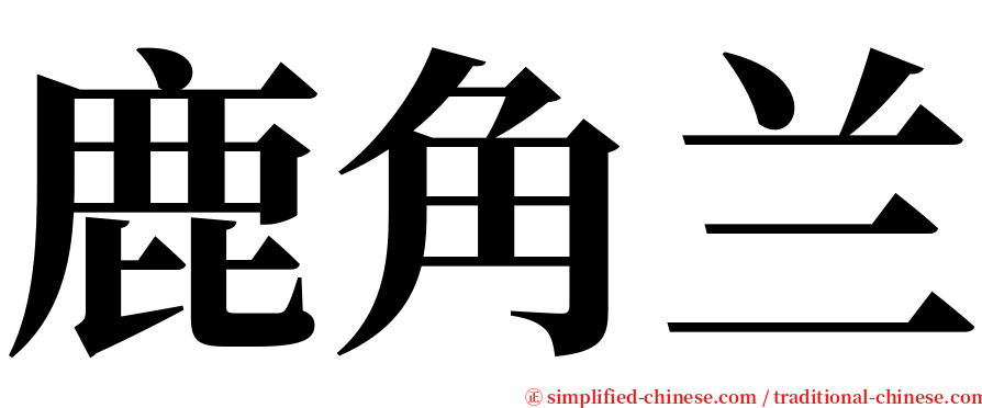 鹿角兰 serif font