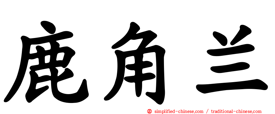 鹿角兰